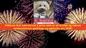 Áramót Jón Magnússon hrl