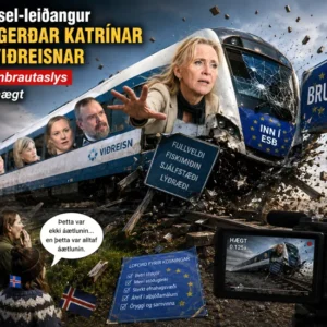 Brussel-leiðangur Þorgerðar Katrínar og Viðreisnar er járnbrautaslys sýnt hægt